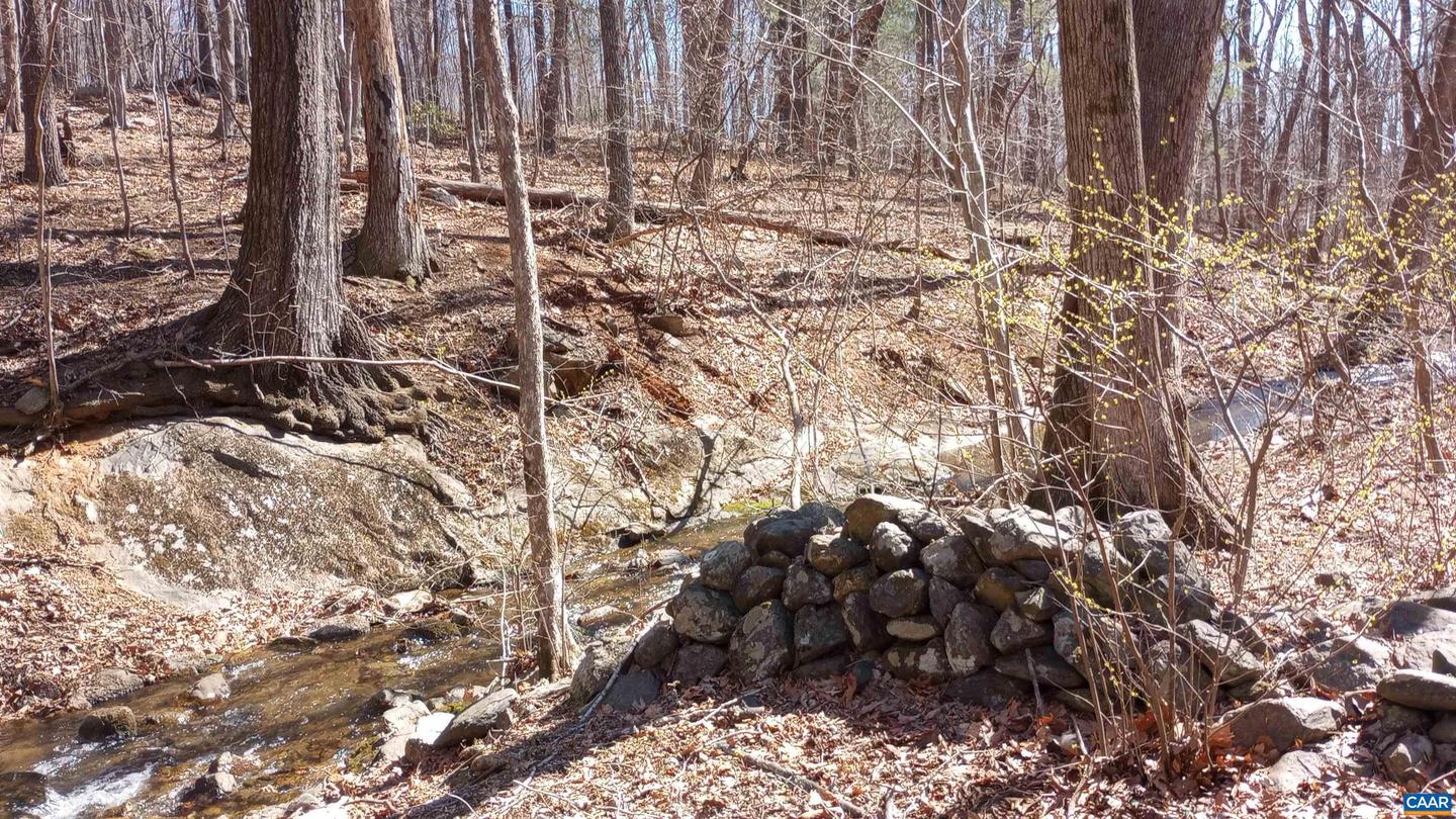 2005 UPPER STONY RUN #10, GREENWOOD, Virginia 22943, ,Land,For sale,2005 UPPER STONY RUN #10,662770 MLS # 662770