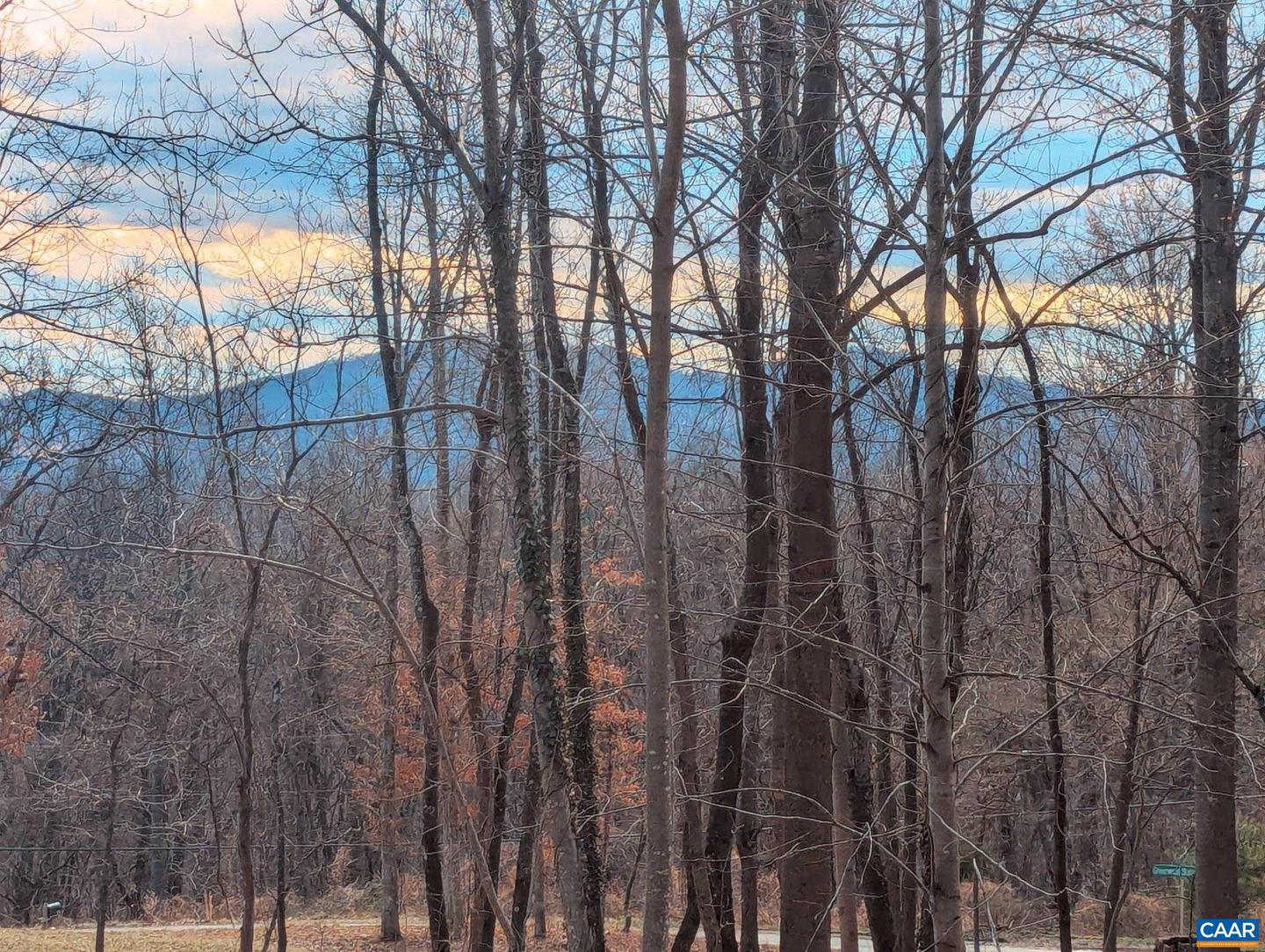 2005 UPPER STONY RUN #10, GREENWOOD, Virginia 22943, ,Land,For sale,2005 UPPER STONY RUN #10,662770 MLS # 662770