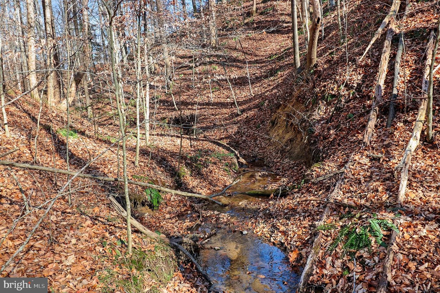 1326 KINGS HWY, KING GEORGE, Virginia 22485, ,Land,For sale,1326 KINGS HWY,VAKG2007492 MLS # VAKG2007492