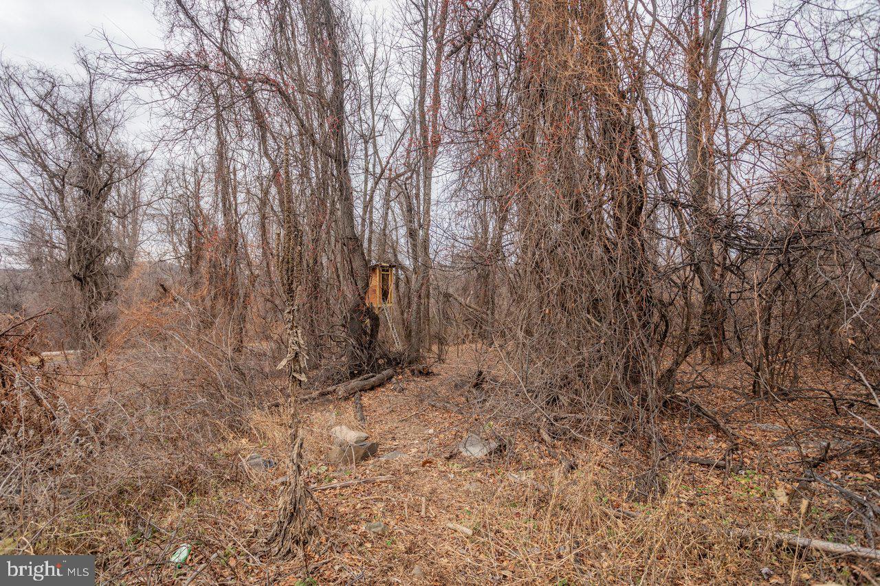 0 SHORT CUT RD, STANLEY, Virginia 22851, ,Land,For sale,0 SHORT CUT RD,VAPA2005880 MLS # VAPA2005880 0 SHORT CUT RD, STANLEY, Virginia 22851, ,Land,For sale,0 SHORT CUT RD,VAPA2005880 MLS # VAPA2005880