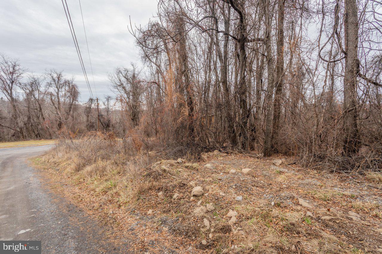 0 SHORT CUT RD, STANLEY, Virginia 22851, ,Land,For sale,0 SHORT CUT RD,VAPA2005880 MLS # VAPA2005880 0 SHORT CUT RD, STANLEY, Virginia 22851, ,Land,For sale,0 SHORT CUT RD,VAPA2005880 MLS # VAPA2005880