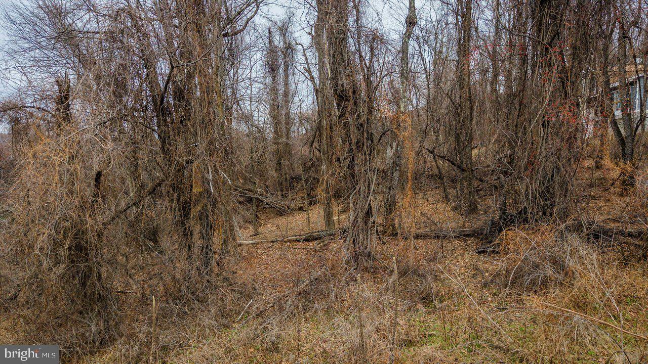 0 SHORT CUT RD, STANLEY, Virginia 22851, ,Land,For sale,0 SHORT CUT RD,VAPA2005880 MLS # VAPA2005880 0 SHORT CUT RD, STANLEY, Virginia 22851, ,Land,For sale,0 SHORT CUT RD,VAPA2005880 MLS # VAPA2005880