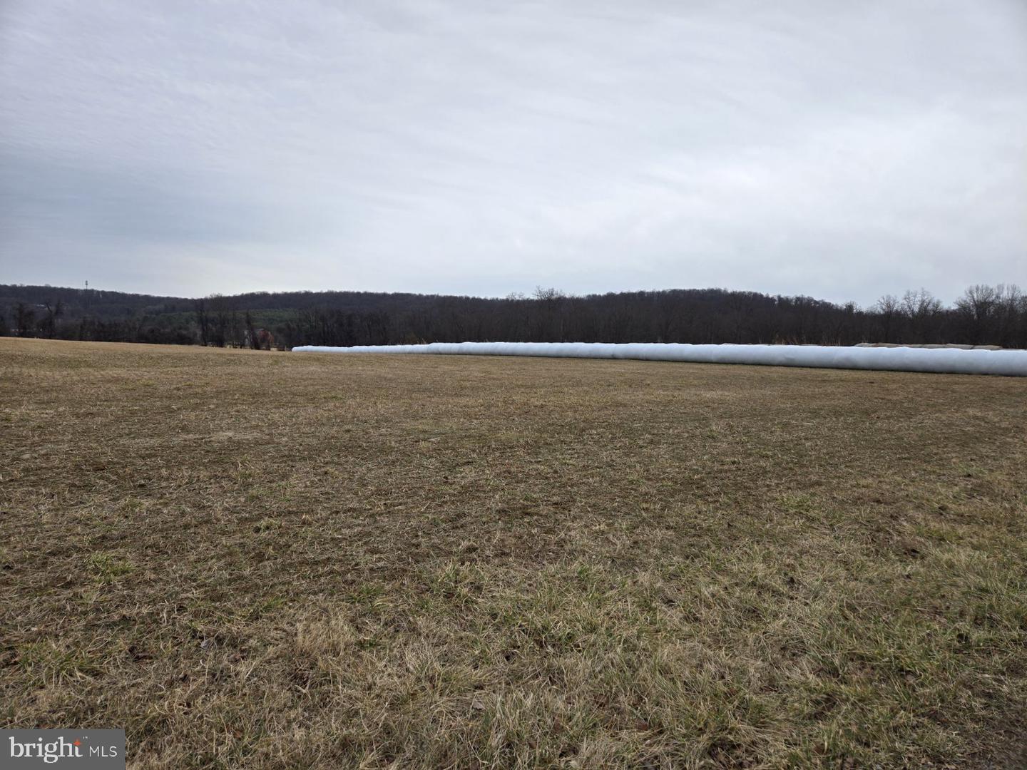 WOODGROVE RD, PURCELLVILLE, Virginia 20132, ,Land,For sale,WOODGROVE RD,VALO2113940 MLS # VALO2113940