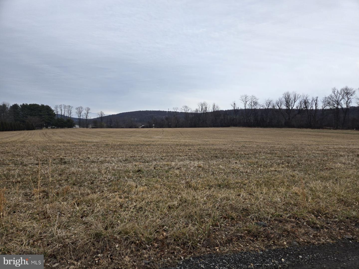 WOODGROVE RD, PURCELLVILLE, Virginia 20132, ,Land,For sale,WOODGROVE RD,VALO2113940 MLS # VALO2113940 WOODGROVE RD, PURCELLVILLE, Virginia 20132, ,Land,For sale,WOODGROVE RD,VALO2113940 MLS # VALO2113940