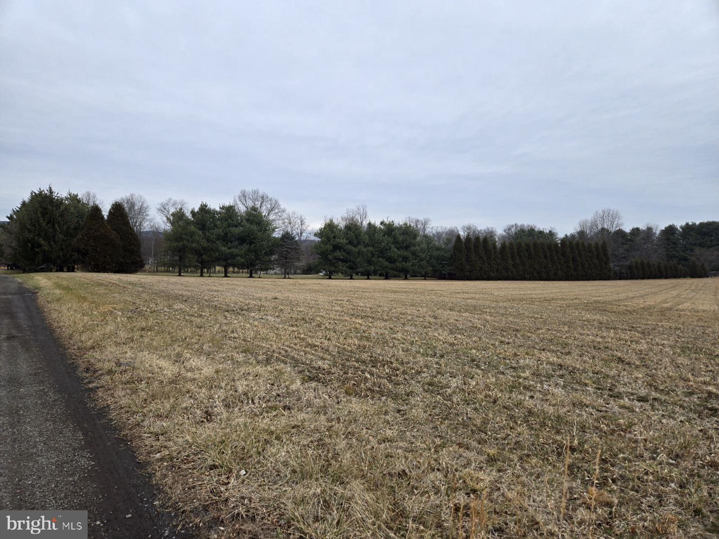 WOODGROVE RD, PURCELLVILLE, Virginia 20132, ,Land,For sale,WOODGROVE RD,VALO2113940 MLS # VALO2113940 WOODGROVE RD, PURCELLVILLE, Virginia 20132, ,Land,For sale,WOODGROVE RD,VALO2113940 MLS # VALO2113940