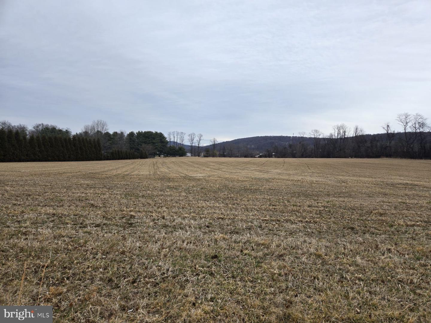 WOODGROVE RD, PURCELLVILLE, Virginia 20132, ,Land,For sale,WOODGROVE RD,VALO2113940 MLS # VALO2113940 WOODGROVE RD, PURCELLVILLE, Virginia 20132, ,Land,For sale,WOODGROVE RD,VALO2113940 MLS # VALO2113940