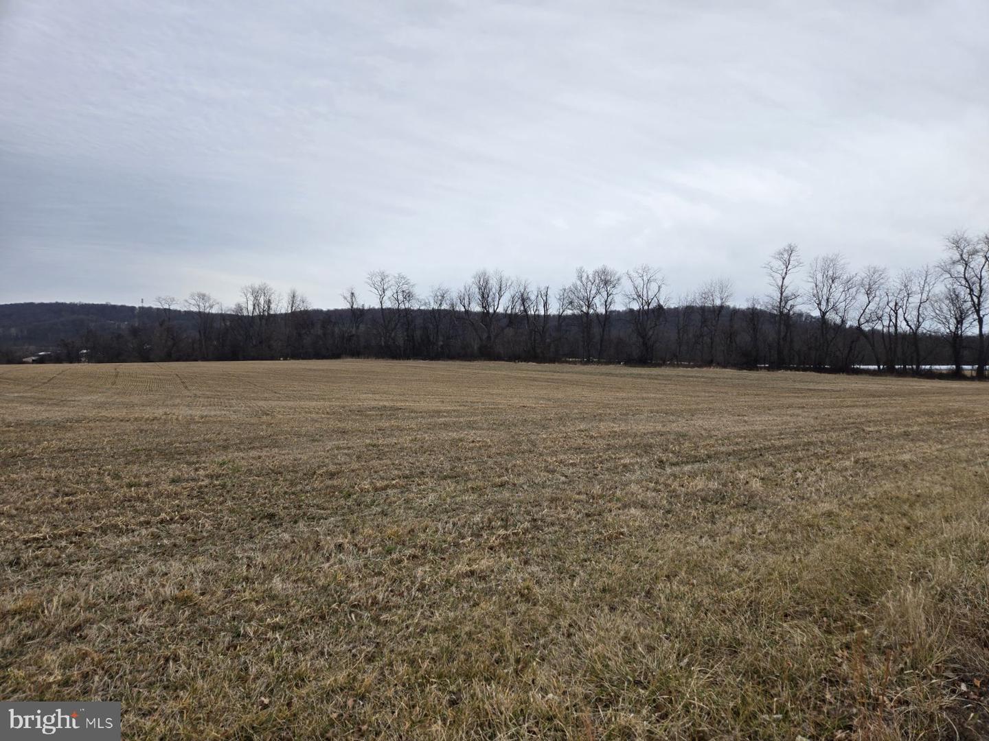 WOODGROVE RD, PURCELLVILLE, Virginia 20132, ,Land,For sale,WOODGROVE RD,VALO2113940 MLS # VALO2113940 WOODGROVE RD, PURCELLVILLE, Virginia 20132, ,Land,For sale,WOODGROVE RD,VALO2113940 MLS # VALO2113940