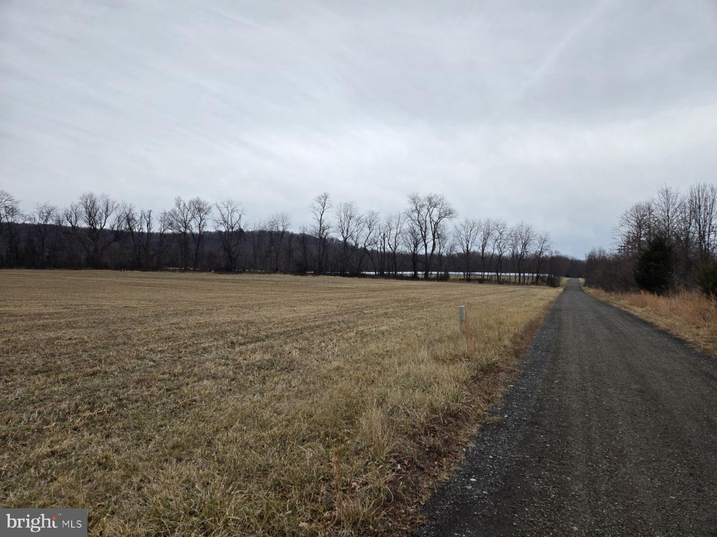 WOODGROVE RD, PURCELLVILLE, Virginia 20132, ,Land,For sale,WOODGROVE RD,VALO2113940 MLS # VALO2113940 WOODGROVE RD, PURCELLVILLE, Virginia 20132, ,Land,For sale,WOODGROVE RD,VALO2113940 MLS # VALO2113940