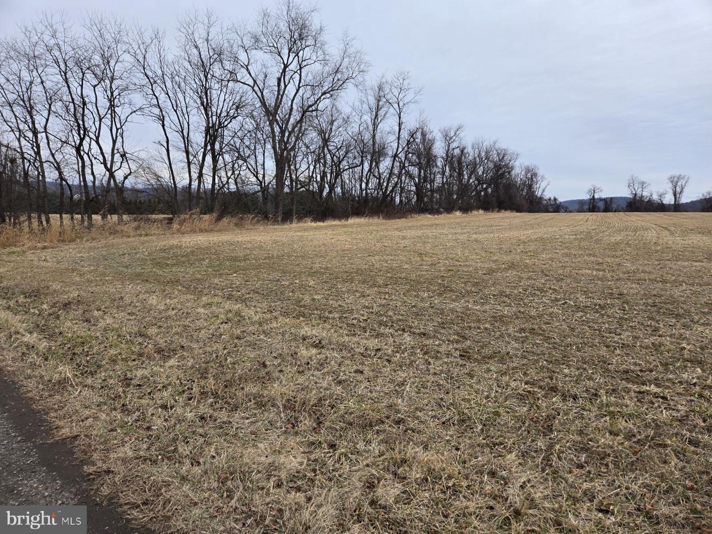 WOODGROVE RD, PURCELLVILLE, Virginia 20132, ,Land,For sale,WOODGROVE RD,VALO2113940 MLS # VALO2113940 WOODGROVE RD, PURCELLVILLE, Virginia 20132, ,Land,For sale,WOODGROVE RD,VALO2113940 MLS # VALO2113940