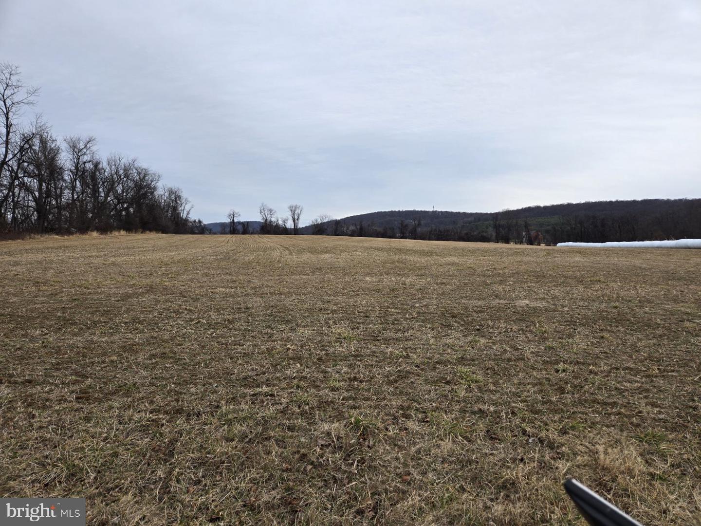 WOODGROVE RD, PURCELLVILLE, Virginia 20132, ,Land,For sale,WOODGROVE RD,VALO2113940 MLS # VALO2113940 WOODGROVE RD, PURCELLVILLE, Virginia 20132, ,Land,For sale,WOODGROVE RD,VALO2113940 MLS # VALO2113940