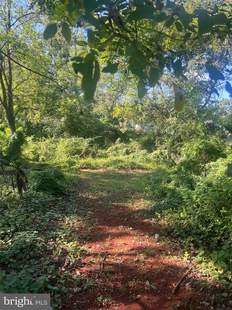 JAMES MADISON HWY, GORDONSVILLE, Virginia 22942, ,Land,For sale,JAMES MADISON HWY,VAOR2013160 MLS # VAOR2013160