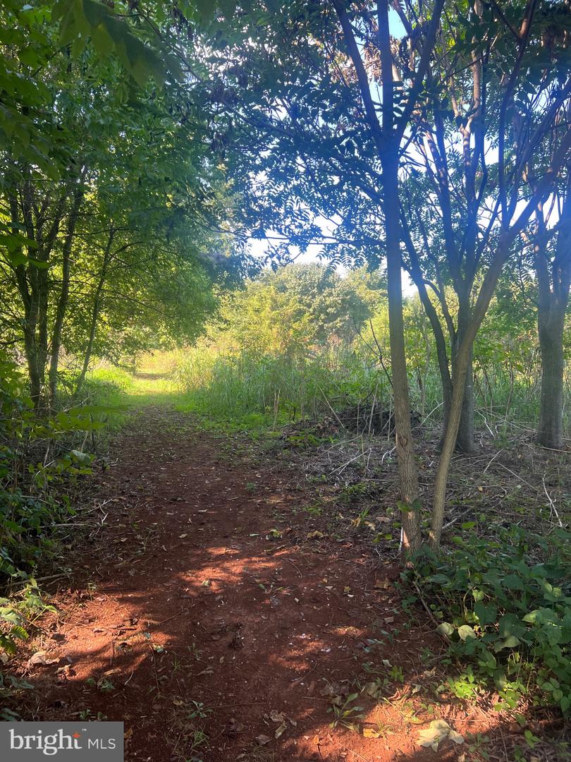 JAMES MADISON HWY, GORDONSVILLE, Virginia 22942, ,Land,For sale,JAMES MADISON HWY,VAOR2013160 MLS # VAOR2013160