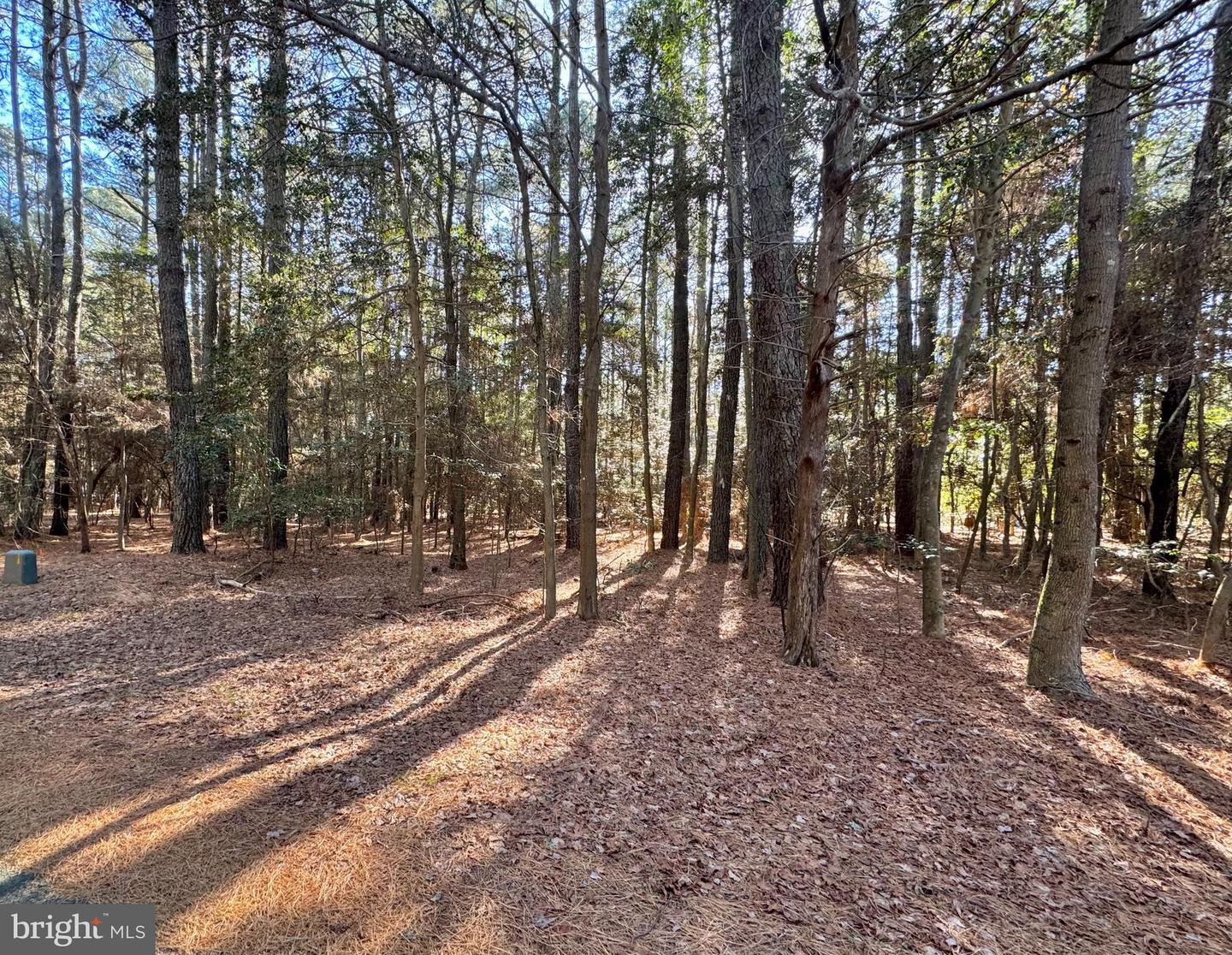 LOT 831 CASTAWAY DR, GREENBACKVILLE, Virginia 23356, ,Land,For sale,LOT 831 CASTAWAY DR,VAAC2002566 MLS # VAAC2002566 LOT 831 CASTAWAY DR, GREENBACKVILLE, Virginia 23356, ,Land,For sale,LOT 831 CASTAWAY DR,VAAC2002566 MLS # VAAC2002566