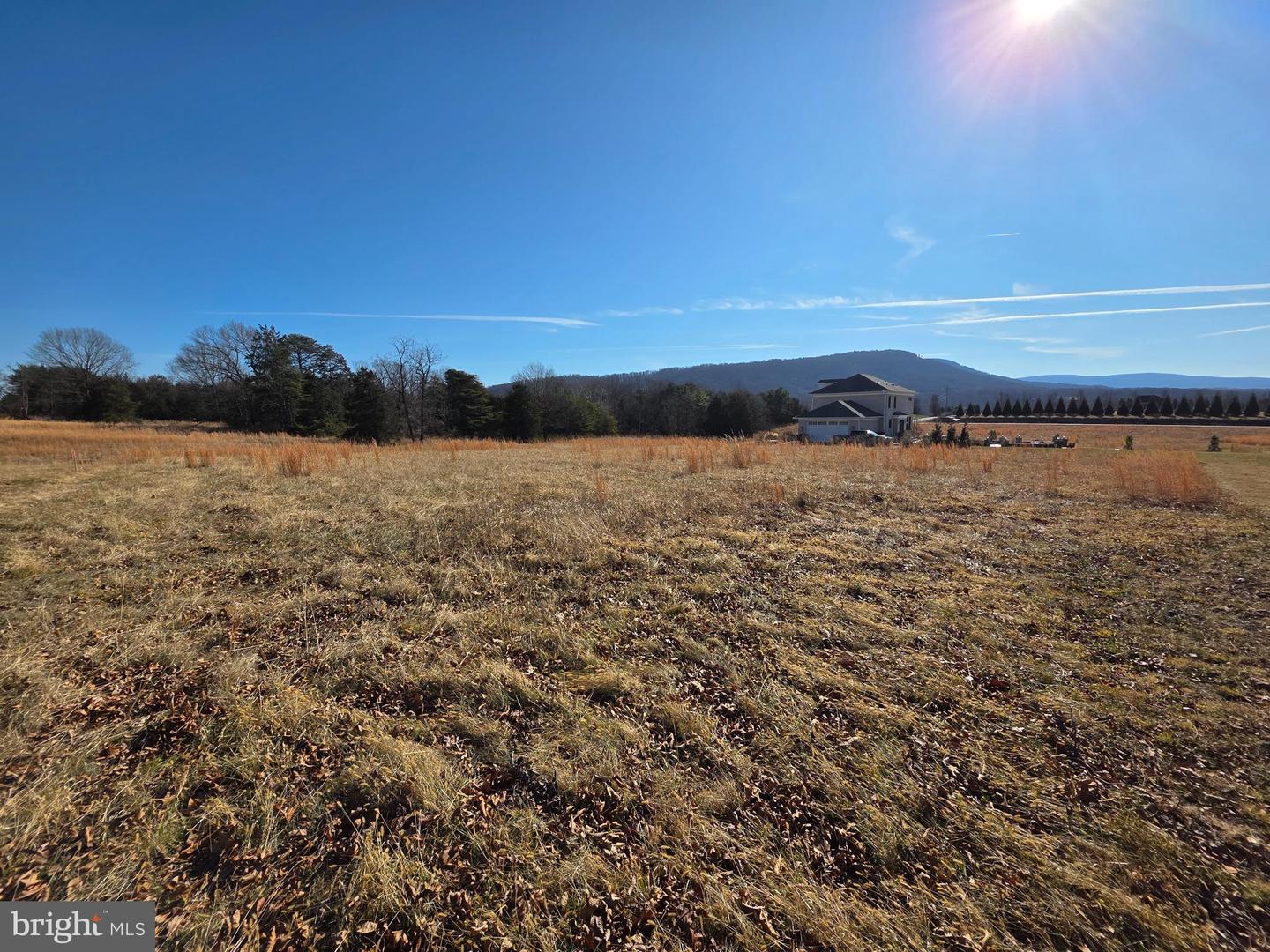 LOT 88 HATCHER DR, FRONT ROYAL, Virginia 22630, ,Land,For sale,LOT 88 HATCHER DR,VAWR2013198 MLS # VAWR2013198 LOT 88 HATCHER DR, FRONT ROYAL, Virginia 22630, ,Land,For sale,LOT 88 HATCHER DR,VAWR2013198 MLS # VAWR2013198
