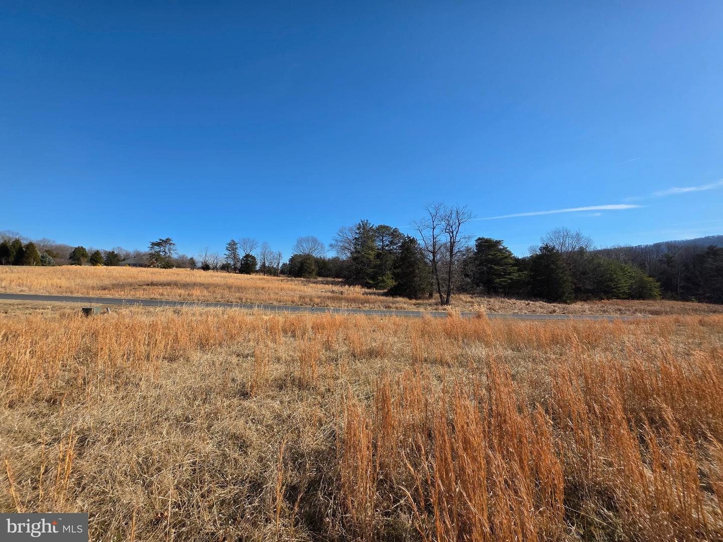 LOT 88 HATCHER DR, FRONT ROYAL, Virginia 22630, ,Land,For sale,LOT 88 HATCHER DR,VAWR2013198 MLS # VAWR2013198 LOT 88 HATCHER DR, FRONT ROYAL, Virginia 22630, ,Land,For sale,LOT 88 HATCHER DR,VAWR2013198 MLS # VAWR2013198