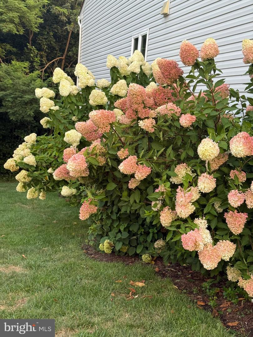 96 BATTERY POINT DR, FREDERICKSBURG, Virginia 22406, 3 Bedrooms Bedrooms, ,3 BathroomsBathrooms,Residential,For sale,96 BATTERY POINT DR,VAST2044914 MLS # VAST2044914