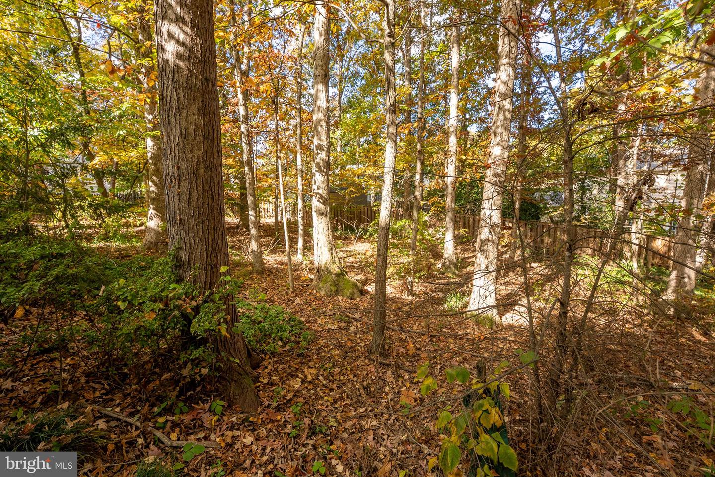 8924 PEORIA CT, SPRINGFIELD, Virginia 22153, 4 Bedrooms Bedrooms, ,2 BathroomsBathrooms,Residential,For sale,8924 PEORIA CT,VAFX2284816 MLS # VAFX2284816 8924 PEORIA CT, SPRINGFIELD, Virginia 22153, 4 Bedrooms Bedrooms, ,2 BathroomsBathrooms,Residential,For sale,8924 PEORIA CT,VAFX2284816 MLS # VAFX2284816