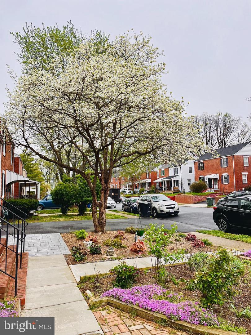 2137 S POLLARD ST, ARLINGTON, Virginia 22204, 2 Bedrooms Bedrooms, ,2 BathroomsBathrooms,Residential,For sale,2137 S POLLARD ST,VAAR2067526 MLS # VAAR2067526 2137 S POLLARD ST, ARLINGTON, Virginia 22204, 2 Bedrooms Bedrooms, ,2 BathroomsBathrooms,Residential,For sale,2137 S POLLARD ST,VAAR2067526 MLS # VAAR2067526