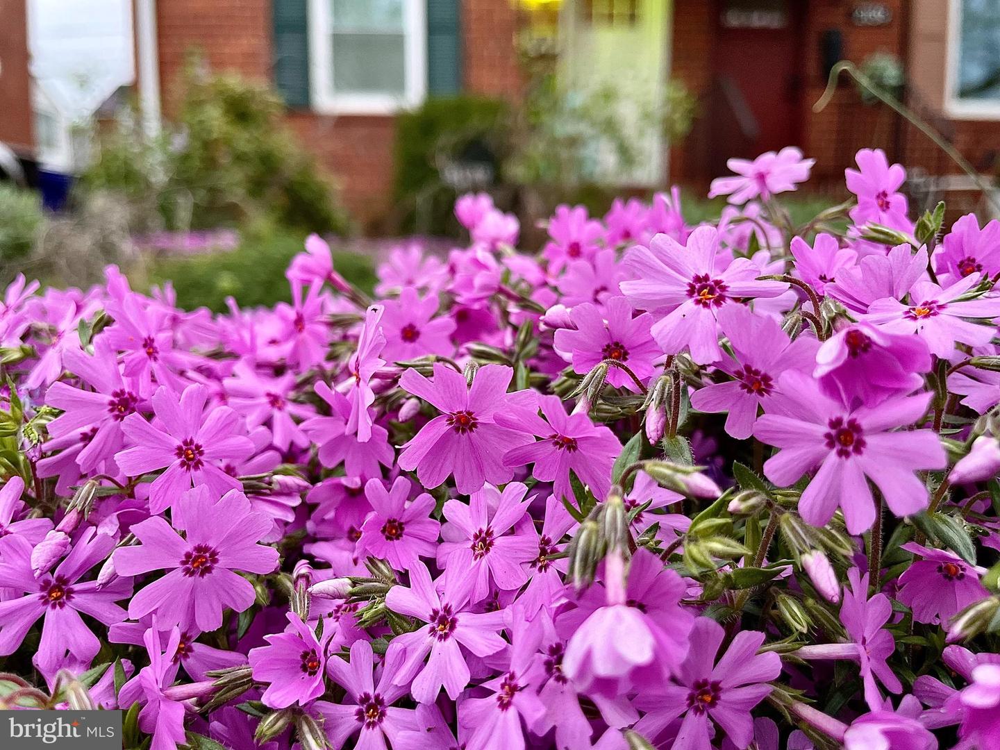 2137 S POLLARD ST, ARLINGTON, Virginia 22204, 2 Bedrooms Bedrooms, ,2 BathroomsBathrooms,Residential,For sale,2137 S POLLARD ST,VAAR2067526 MLS # VAAR2067526 2137 S POLLARD ST, ARLINGTON, Virginia 22204, 2 Bedrooms Bedrooms, ,2 BathroomsBathrooms,Residential,For sale,2137 S POLLARD ST,VAAR2067526 MLS # VAAR2067526