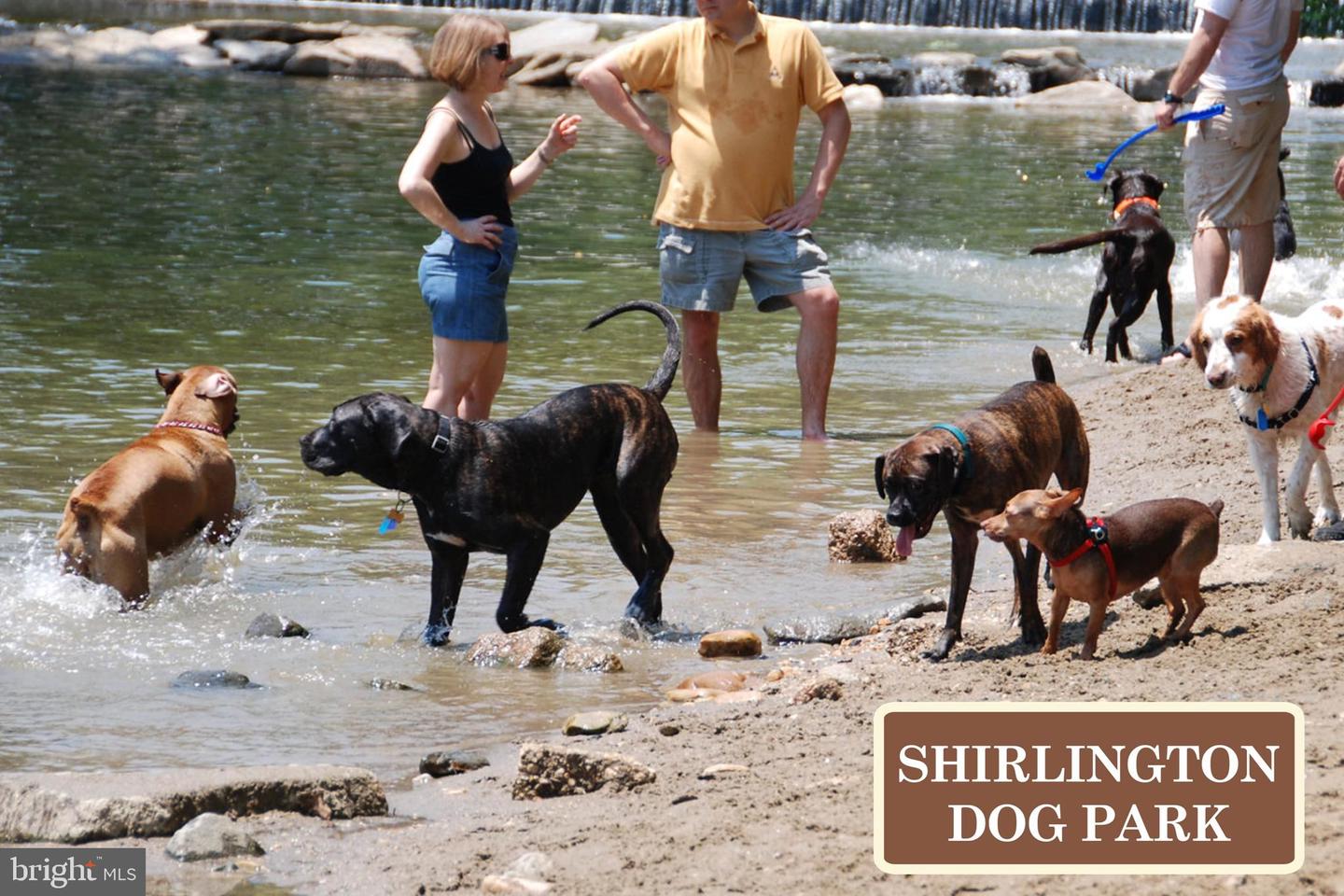 2137 S POLLARD ST, ARLINGTON, Virginia 22204, 2 Bedrooms Bedrooms, ,2 BathroomsBathrooms,Residential,For sale,2137 S POLLARD ST,VAAR2067526 MLS # VAAR2067526 2137 S POLLARD ST, ARLINGTON, Virginia 22204, 2 Bedrooms Bedrooms, ,2 BathroomsBathrooms,Residential,For sale,2137 S POLLARD ST,VAAR2067526 MLS # VAAR2067526