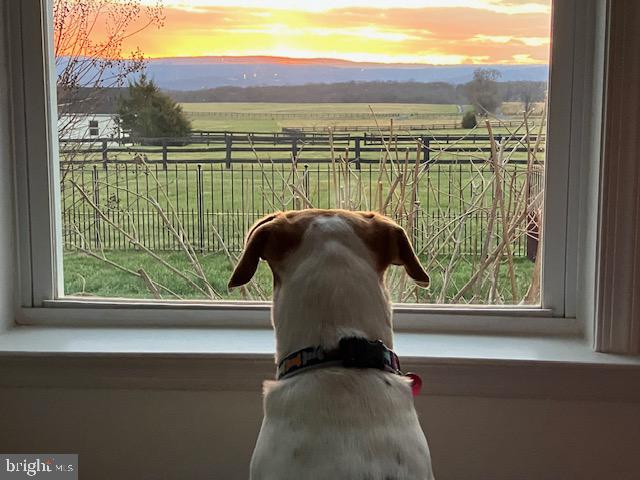 422 MILLDALE VALLEY DR, FRONT ROYAL, Virginia 22630, 4 Bedrooms Bedrooms, ,2 BathroomsBathrooms,Residential,For sale,422 MILLDALE VALLEY DR,VAWR2013136 MLS # VAWR2013136