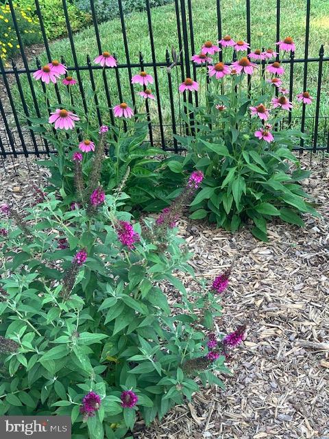 422 MILLDALE VALLEY DR, FRONT ROYAL, Virginia 22630, 4 Bedrooms Bedrooms, ,2 BathroomsBathrooms,Residential,For sale,422 MILLDALE VALLEY DR,VAWR2013136 MLS # VAWR2013136