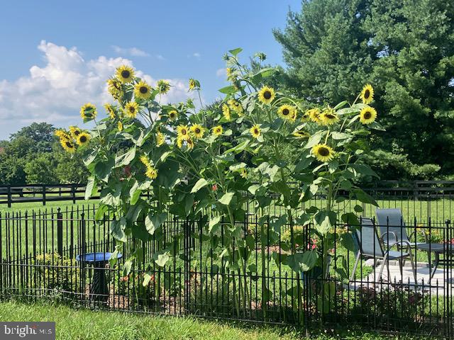 422 MILLDALE VALLEY DR, FRONT ROYAL, Virginia 22630, 4 Bedrooms Bedrooms, ,2 BathroomsBathrooms,Residential,For sale,422 MILLDALE VALLEY DR,VAWR2013136 MLS # VAWR2013136