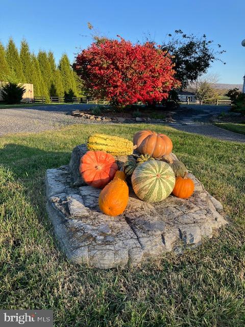 422 MILLDALE VALLEY DR, FRONT ROYAL, Virginia 22630, 4 Bedrooms Bedrooms, ,2 BathroomsBathrooms,Residential,For sale,422 MILLDALE VALLEY DR,VAWR2013136 MLS # VAWR2013136