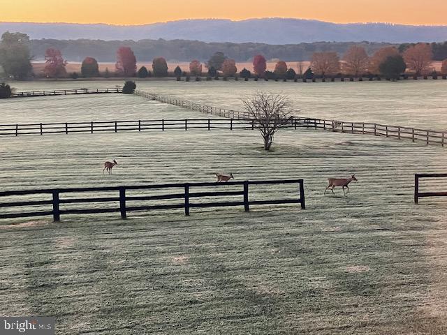 422 MILLDALE VALLEY DR, FRONT ROYAL, Virginia 22630, 4 Bedrooms Bedrooms, ,2 BathroomsBathrooms,Residential,For sale,422 MILLDALE VALLEY DR,VAWR2013136 MLS # VAWR2013136