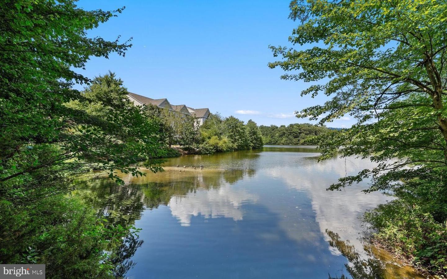 6543 GRANGE LN #202, ALEXANDRIA, Virginia 22315, 2 Bedrooms Bedrooms, ,2 BathroomsBathrooms,Residential,For sale,6543 GRANGE LN #202,VAFX2285958 MLS # VAFX2285958