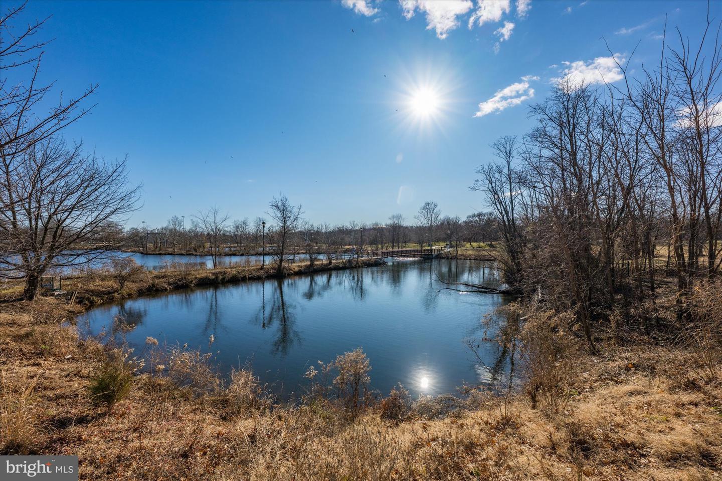 171 SOMERVELLE ST #211, ALEXANDRIA, Virginia 22304, 2 Bedrooms Bedrooms, ,2 BathroomsBathrooms,Residential,For sale,171 SOMERVELLE ST #211,VAAX2053218 MLS # VAAX2053218 171 SOMERVELLE ST #211, ALEXANDRIA, Virginia 22304, 2 Bedrooms Bedrooms, ,2 BathroomsBathrooms,Residential,For sale,171 SOMERVELLE ST #211,VAAX2053218 MLS # VAAX2053218