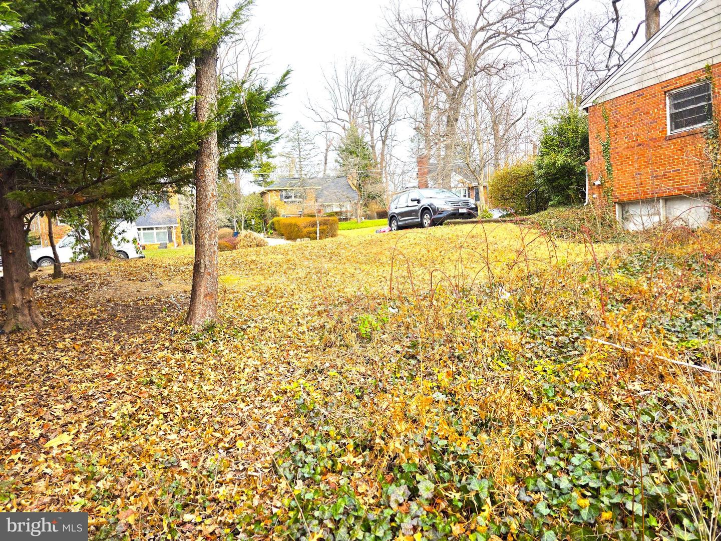 6633 MOLY DR, FALLS CHURCH, Virginia 22046, 3 Bedrooms Bedrooms, ,2 BathroomsBathrooms,Residential,For sale,6633 MOLY DR,VAFX2286882 MLS # VAFX2286882