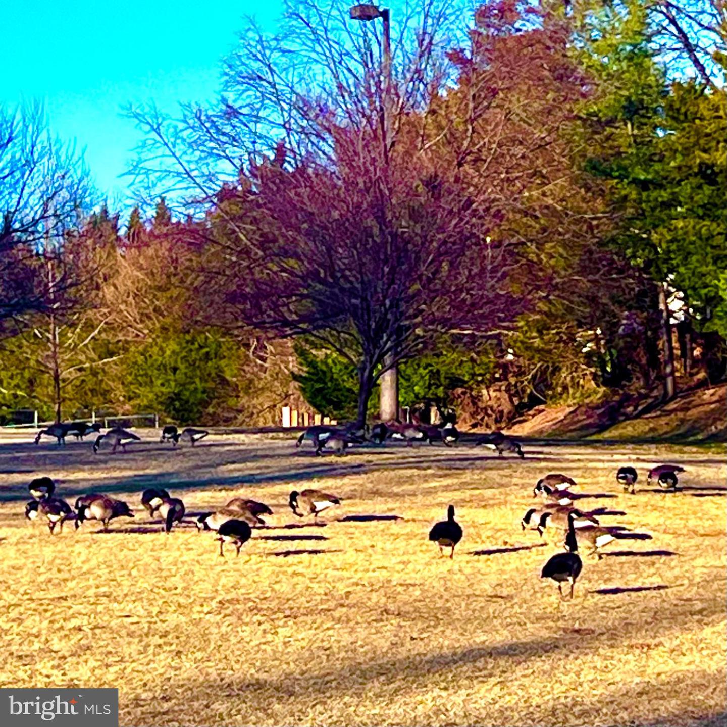 6086 ESSEX HOUSE SQ #B, ALEXANDRIA, Virginia 22310, 2 Bedrooms Bedrooms, ,1 BathroomBathrooms,Residential,For sale,6086 ESSEX HOUSE SQ #B,VAFX2286942 MLS # VAFX2286942