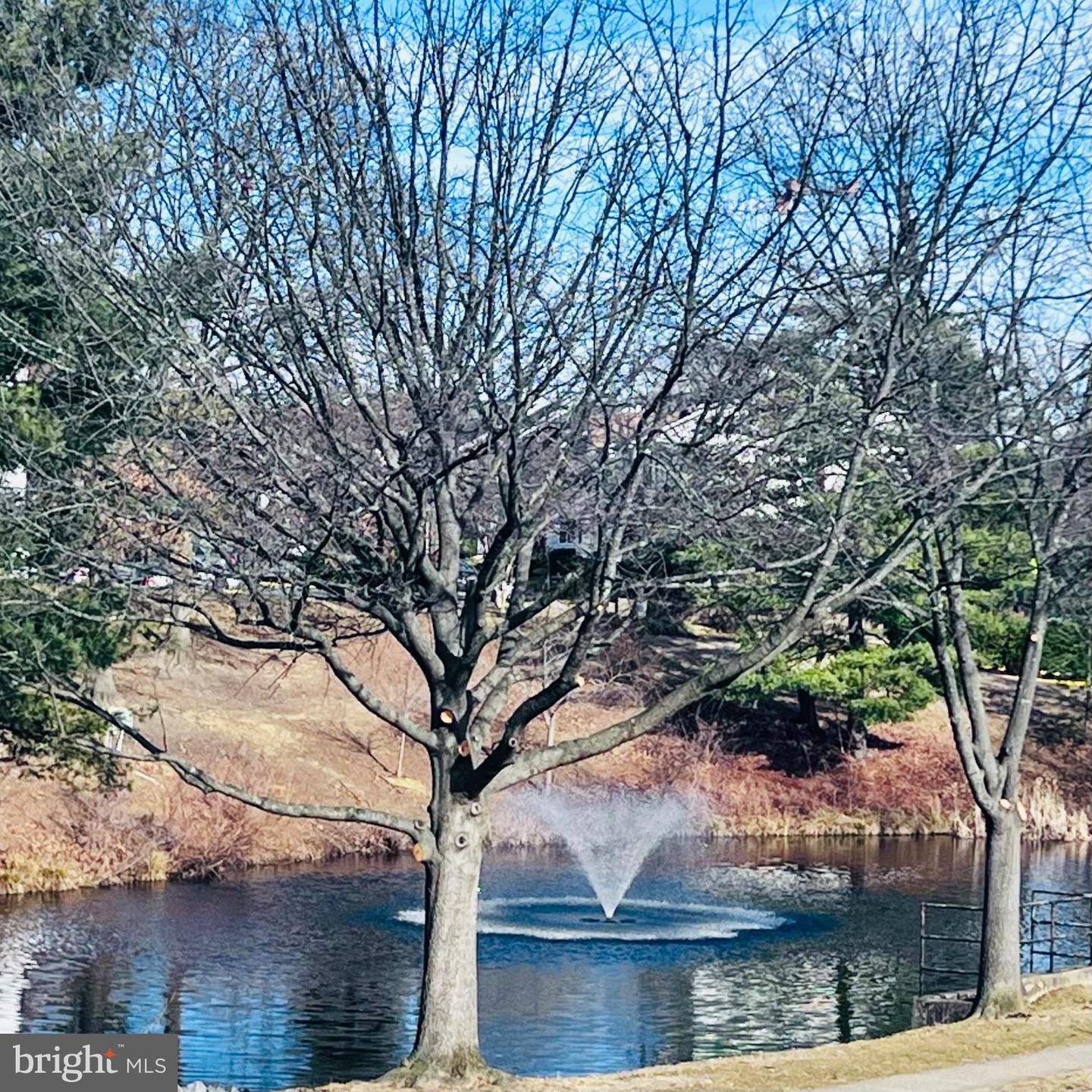 6086 ESSEX HOUSE SQ #B, ALEXANDRIA, Virginia 22310, 2 Bedrooms Bedrooms, ,1 BathroomBathrooms,Residential,For sale,6086 ESSEX HOUSE SQ #B,VAFX2286942 MLS # VAFX2286942