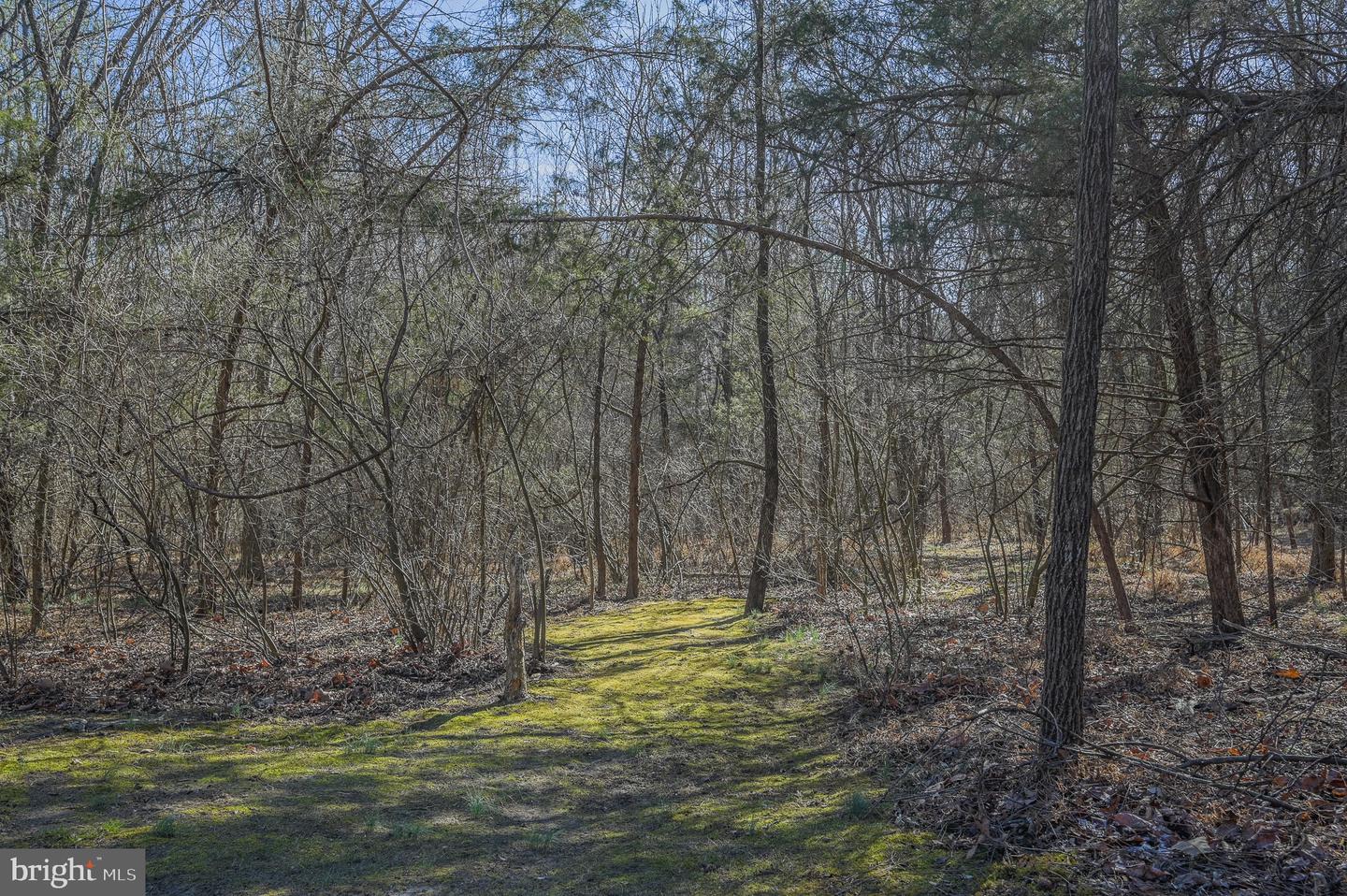 4338 CREIGHTON LN, SPOTSYLVANIA, Virginia 22551, 3 Bedrooms Bedrooms, ,2 BathroomsBathrooms,Residential,For sale,4338 CREIGHTON LN,VASP2038786 MLS # VASP2038786