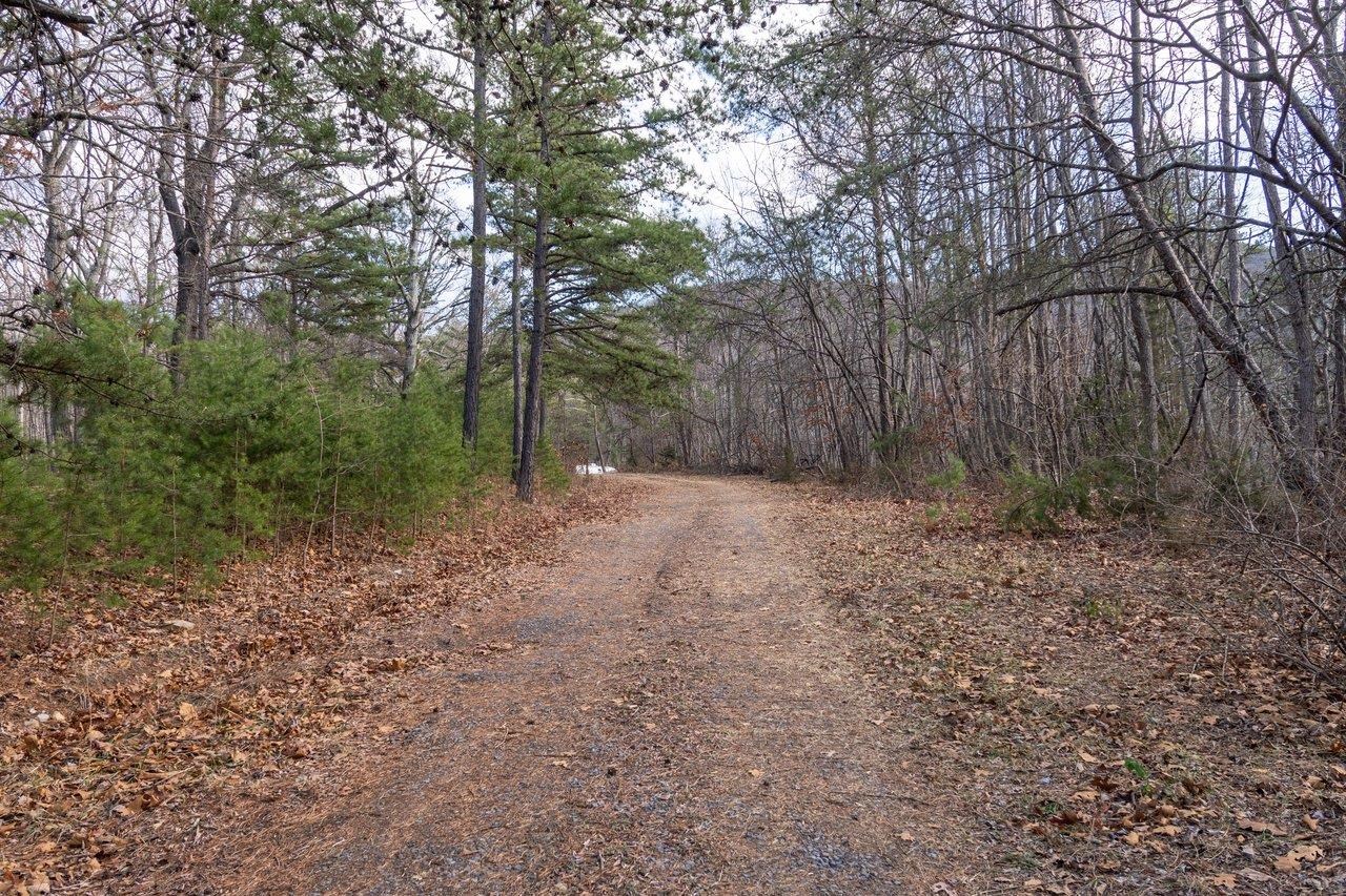 0 FLEMING PARK RD, MOUNT JACKSON, Virginia 22842, ,Land,0 FLEMING PARK RD,672707 MLS # 672707