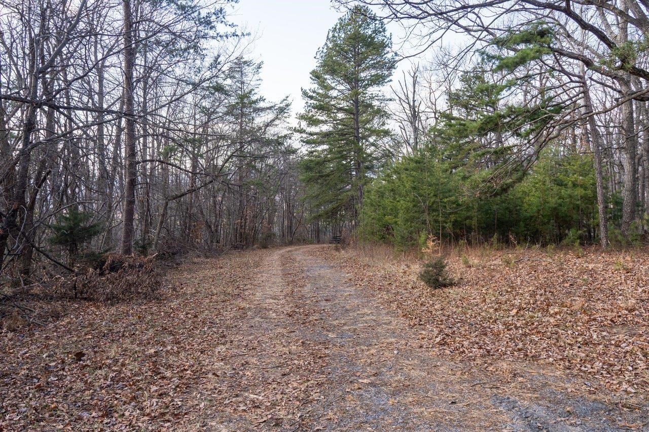 0 FLEMING PARK RD, MOUNT JACKSON, Virginia 22842, ,Land,0 FLEMING PARK RD,672707 MLS # 672707