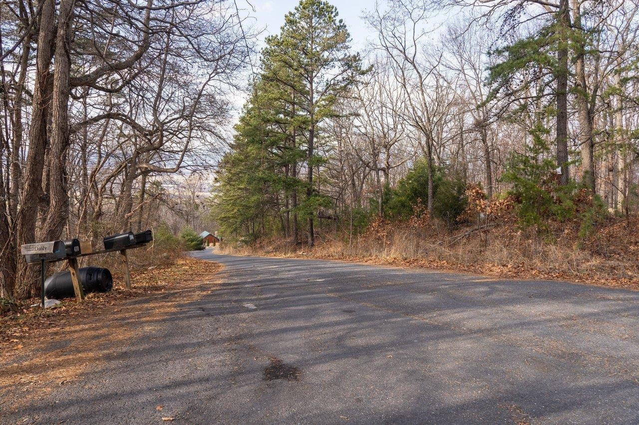 0 FLEMING PARK RD, MOUNT JACKSON, Virginia 22842, ,Land,0 FLEMING PARK RD,672707 MLS # 672707