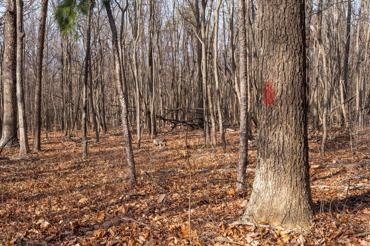 0 FLEMING PARK RD, MOUNT JACKSON, Virginia 22842, ,Land,0 FLEMING PARK RD,672707 MLS # 672707