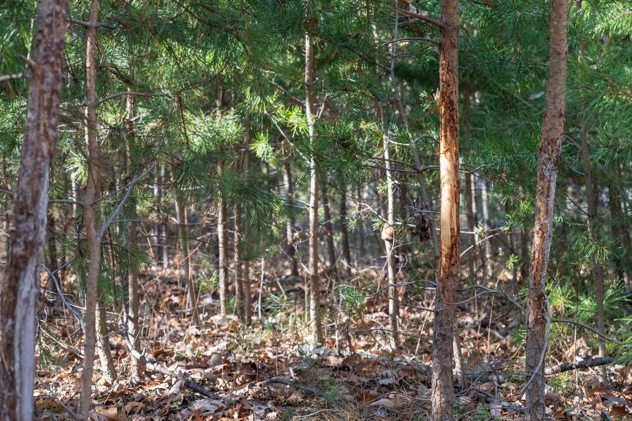 0 FLEMING PARK RD, MOUNT JACKSON, Virginia 22842, ,Land,0 FLEMING PARK RD,672707 MLS # 672707