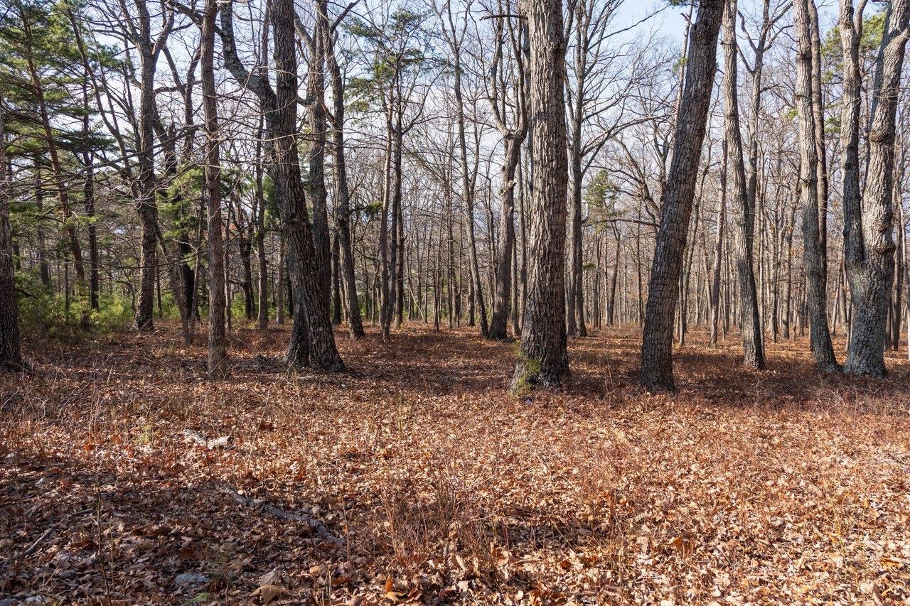 0 FLEMING PARK RD, MOUNT JACKSON, Virginia 22842, ,Land,0 FLEMING PARK RD,672707 MLS # 672707