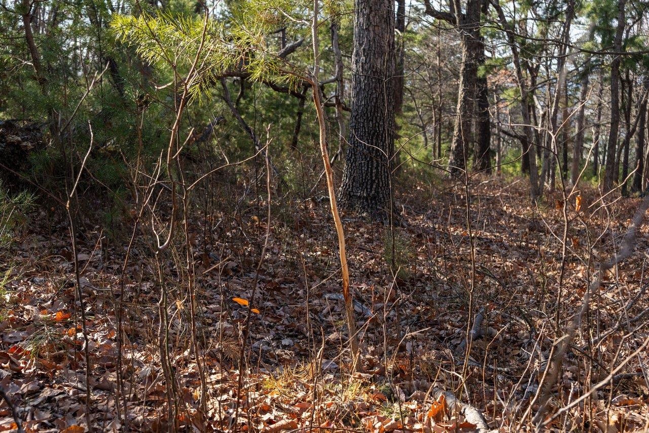 0 FLEMING PARK RD, MOUNT JACKSON, Virginia 22842, ,Land,0 FLEMING PARK RD,672707 MLS # 672707