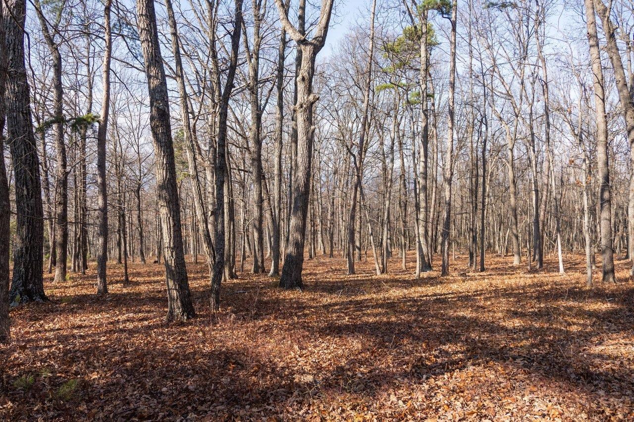 0 FLEMING PARK RD, MOUNT JACKSON, Virginia 22842, ,Land,0 FLEMING PARK RD,672707 MLS # 672707