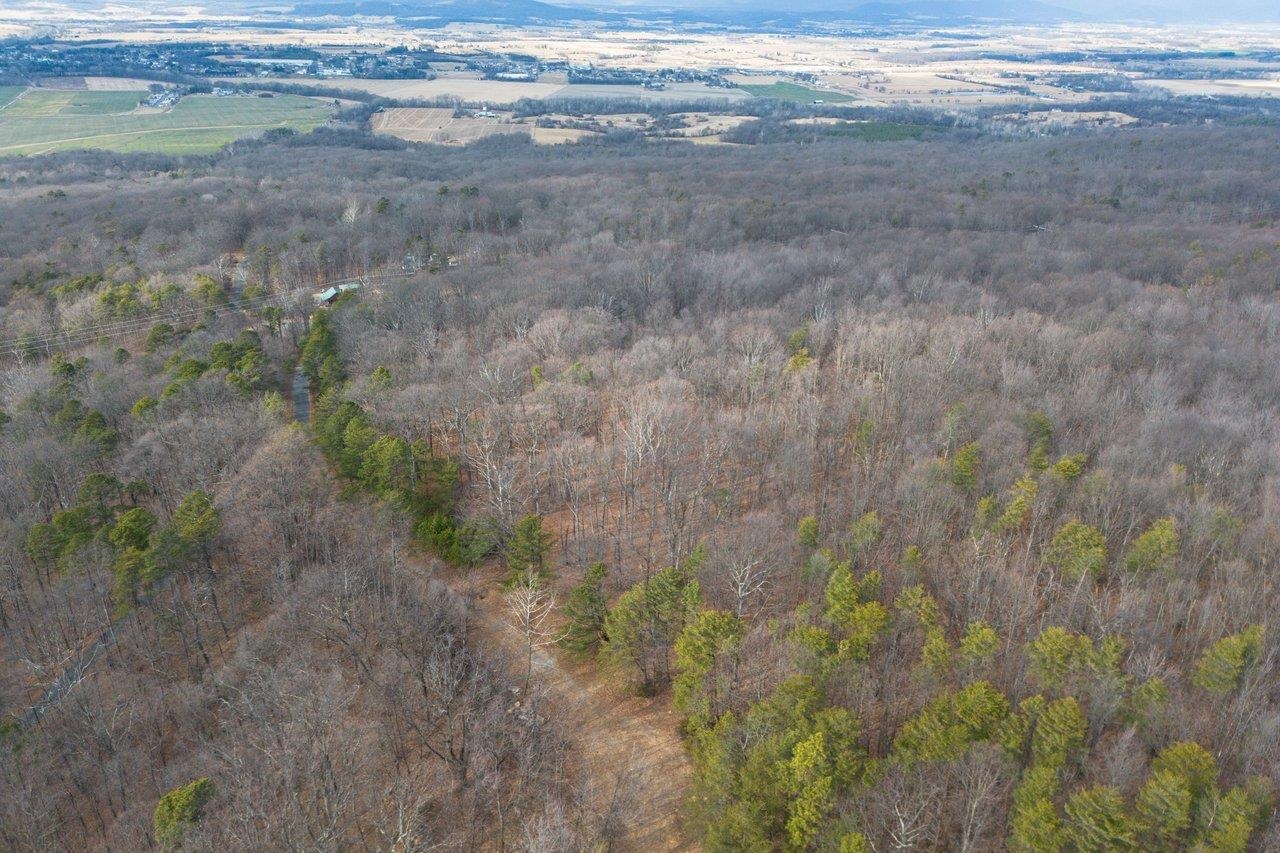 0 FLEMING PARK RD, MOUNT JACKSON, Virginia 22842, ,Land,0 FLEMING PARK RD,672707 MLS # 672707
