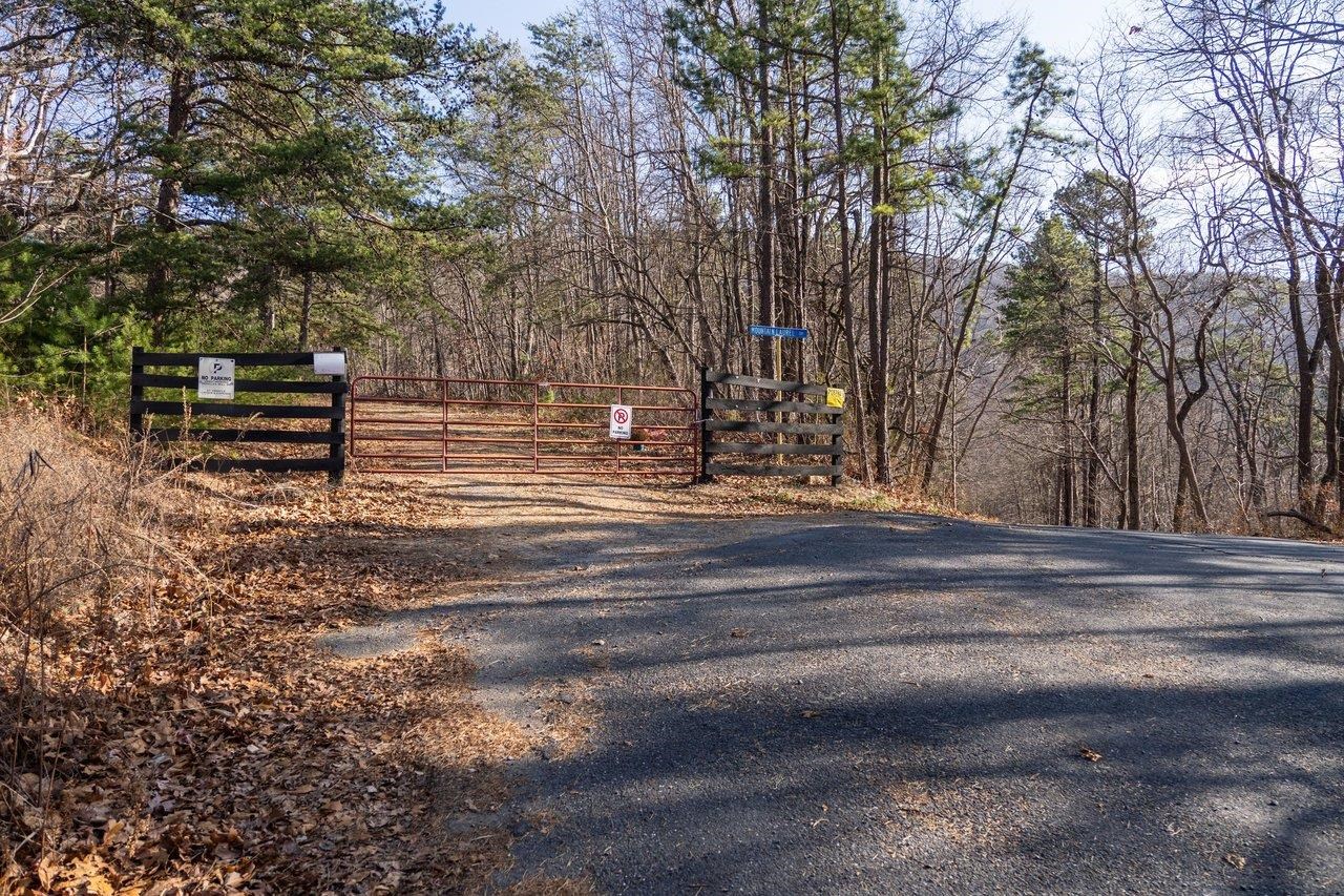 0 FLEMING PARK RD, MOUNT JACKSON, Virginia 22842, ,Land,0 FLEMING PARK RD,672707 MLS # 672707