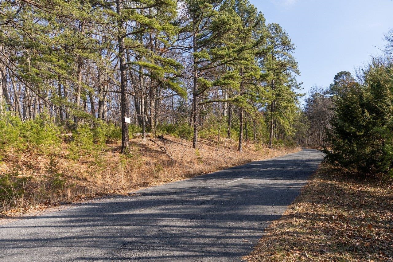 0 FLEMING PARK RD, MOUNT JACKSON, Virginia 22842, ,Land,0 FLEMING PARK RD,672707 MLS # 672707