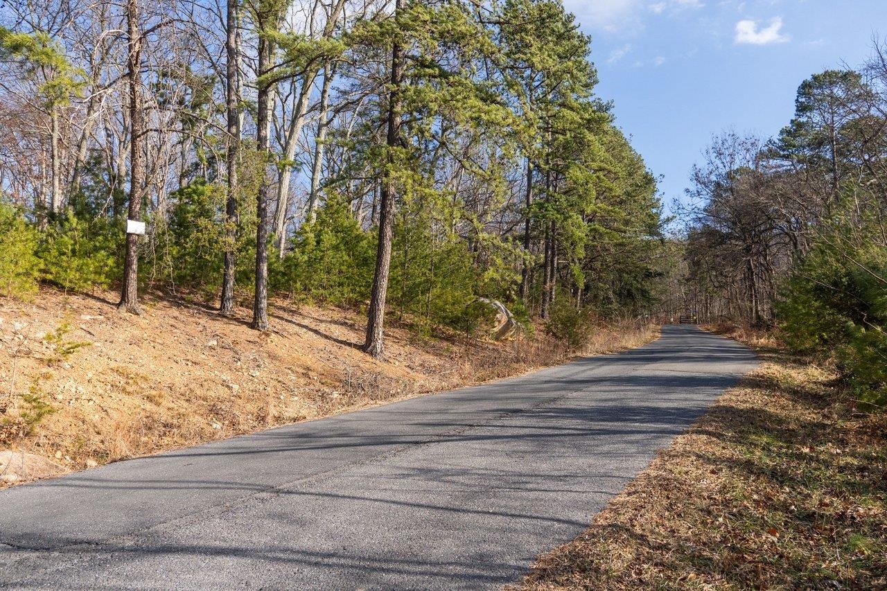 0 FLEMING PARK RD, MOUNT JACKSON, Virginia 22842, ,Land,0 FLEMING PARK RD,672707 MLS # 672707