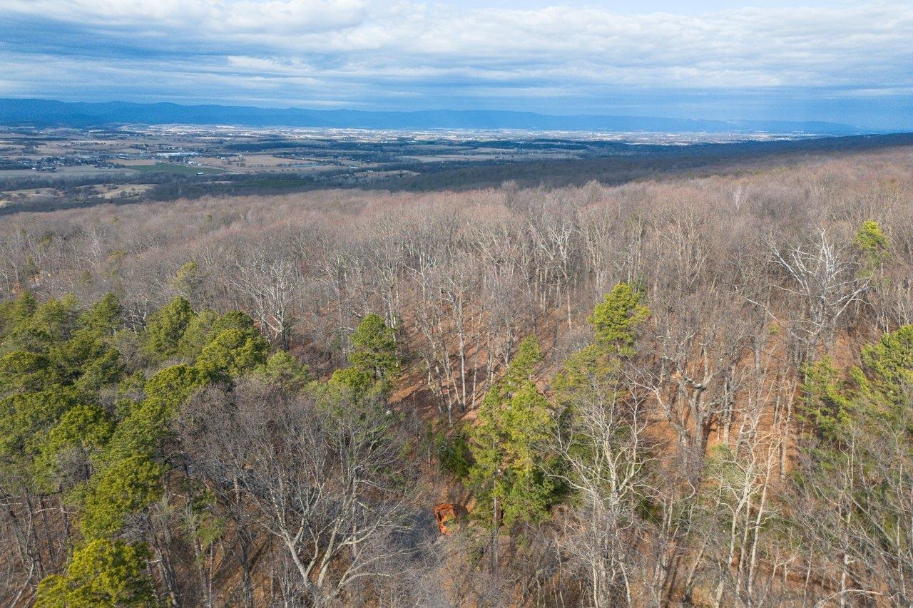 0 FLEMING PARK RD, MOUNT JACKSON, Virginia 22842, ,Land,0 FLEMING PARK RD,672707 MLS # 672707