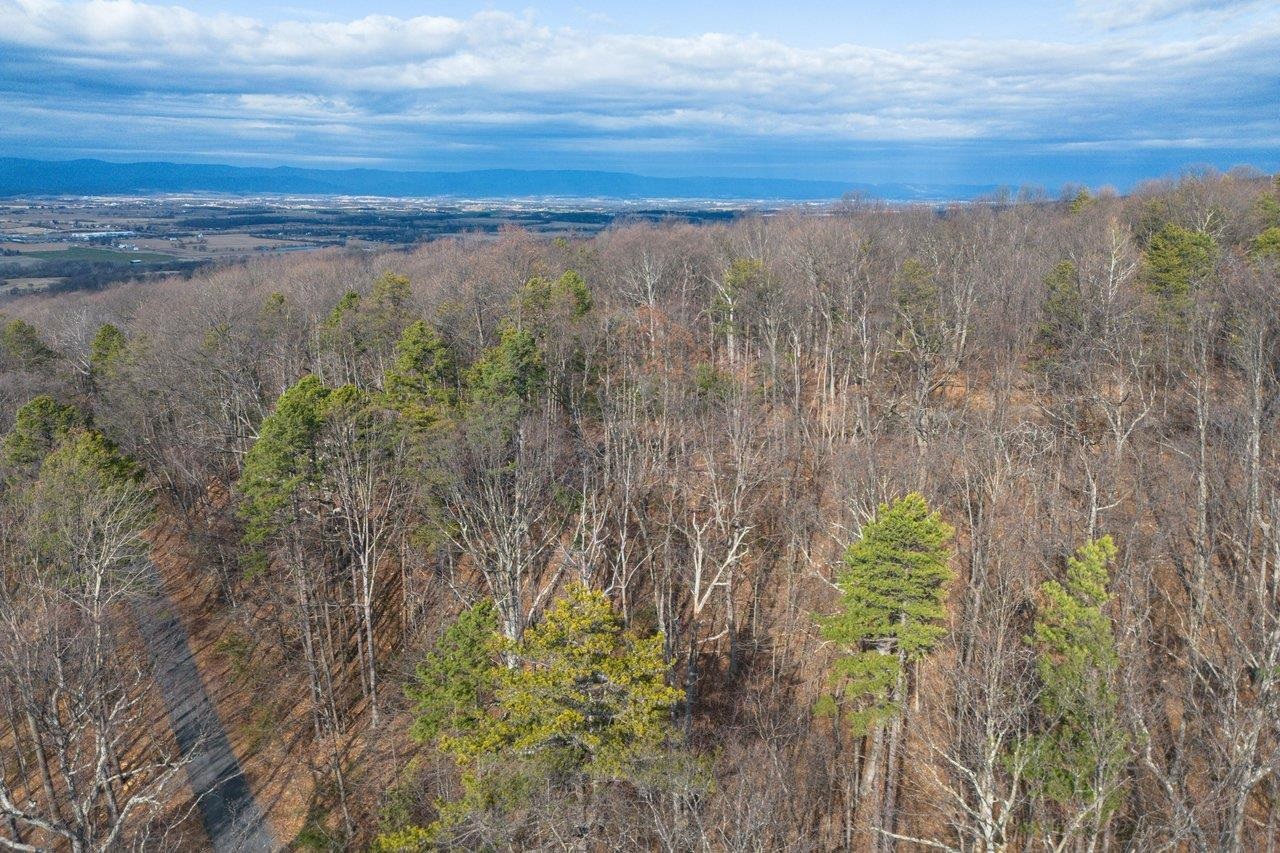 0 FLEMING PARK RD, MOUNT JACKSON, Virginia 22842, ,Land,0 FLEMING PARK RD,672707 MLS # 672707