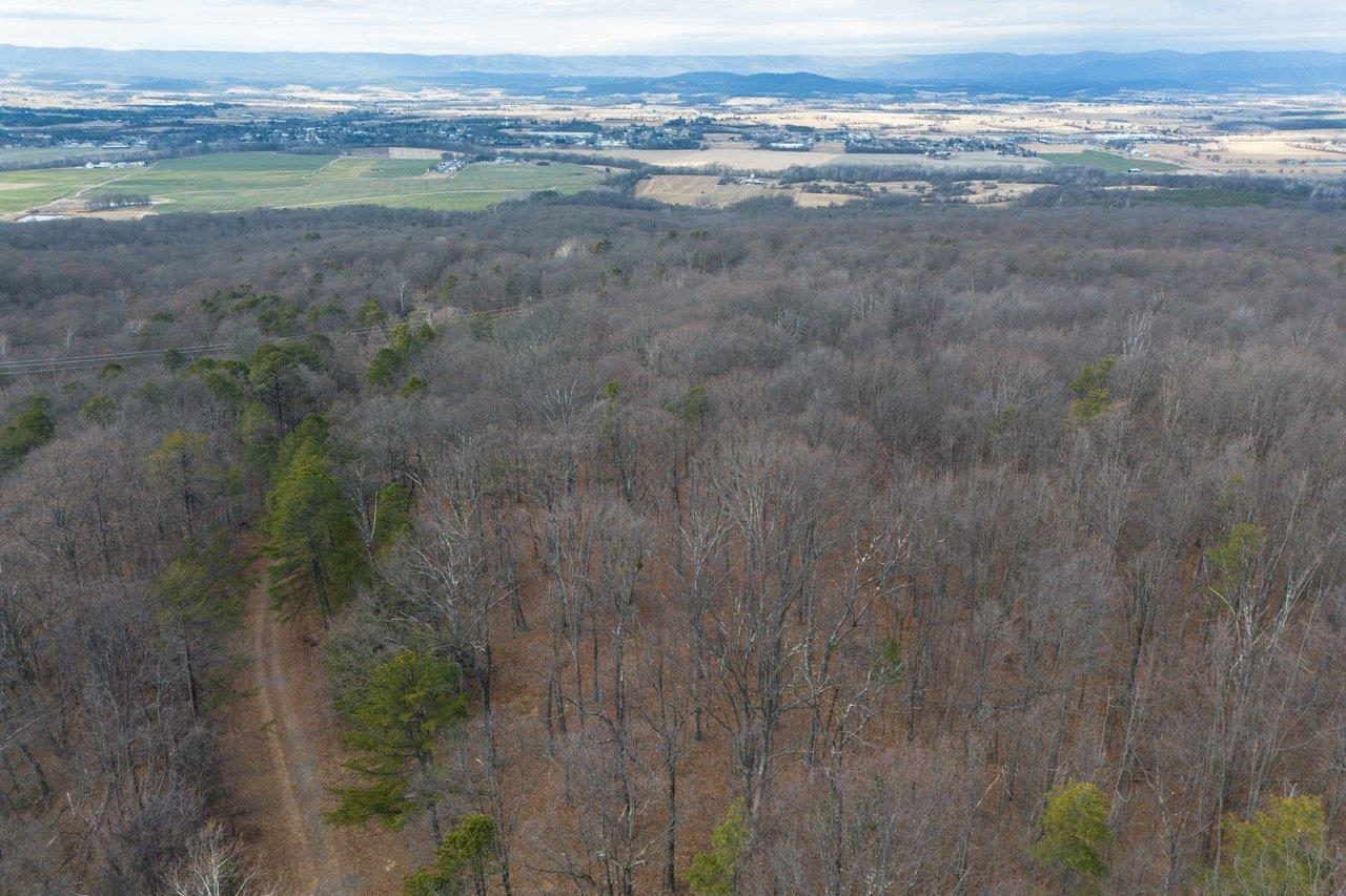 0 FLEMING PARK RD, MOUNT JACKSON, Virginia 22842, ,Land,0 FLEMING PARK RD,672707 MLS # 672707